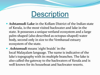 Description
 Ashtamudi Lake in the Kollam District of the Indian state
of Kerala, is the most visited backwater and lake in the
state. It possesses a unique wetland ecosystem and a large
palm-shaped (also described as octopus-shaped) water
body, second only in size to the Vembanad estuary
ecosystem of the state.
 Ashtamudi means 'eight braids' in the
local Malayalam language. The name is indicative of the
lake's topography with its multiple branches. The lake is
also called the gateway to the backwaters of Kerala and is
well known for its houseboat and backwater resorts.
 
