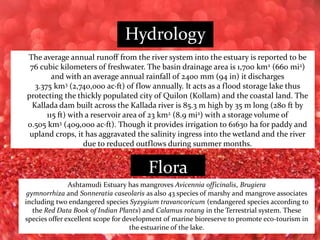 The average annual runoff from the river system into the estuary is reported to be
76 cubic kilometers of freshwater. The basin drainage area is 1,700 km2 (660 mi2)
and with an average annual rainfall of 2400 mm (94 in) it discharges
3.375 km3 (2,740,000 ac·ft) of flow annually. It acts as a flood storage lake thus
protecting the thickly populated city of Quilon (Kollam) and the coastal land. The
Kallada dam built across the Kallada river is 85.3 m high by 35 m long (280 ft by
115 ft) with a reservoir area of 23 km2 (8.9 mi2) with a storage volume of
0.505 km3 (409,000 ac·ft). Though it provides irrigation to 61630 ha for paddy and
upland crops, it has aggravated the salinity ingress into the wetland and the river
due to reduced outflows during summer months.
Ashtamudi Estuary has mangroves Avicennia officinalis, Brugiera
gymnorrhiza and Sonneratia caseolaris as also 43 species of marshy and mangrove associates
including two endangered species Syzygium travancoricum (endangered species according to
the Red Data Book of Indian Plants) and Calamus rotang in the Terrestrial system. These
species offer excellent scope for development of marine bioreserve to promote eco-tourism in
the estuarine of the lake.
Hydrology
Flora
 