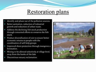 Restoration plans
 Identify and phase out of the pollution sources.
 Better sanitation, reduction of industrial
growth and reduction of urban waste.
 Address the declining fish stock production
through concerted efforts to conserve the fish
stock.
 Product diversification of coir to ensure better
economic returns to people with the
coordination of self-help groups
 Improved shore protection through mangrove a
forestation.
 Mining to be allowed selectively at village level,
away from the banks of the lake
 Discontinue estuary reclamation
 