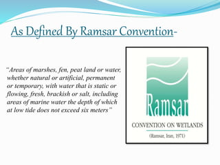 As Defined By Ramsar Convention-
“Areas of marshes, fen, peat land or water,
whether natural or artificial, permanent
or temporary, with water that is static or
flowing, fresh, brackish or salt, including
areas of marine water the depth of which
at low tide does not exceed six meters”
 