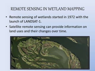 Wetland mapping | PPTX