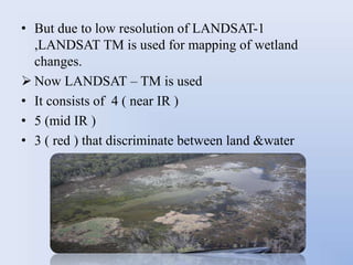 Wetland mapping | PPTX