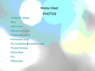Works Cited: PHOTOS Wetlands collage Bird Salt marsh Mangrove swamp Freshwater marsh Freshwater bogs FL everglades  &  satellite image Prairie Potholes Great lakes Ca.  Mississippi 
