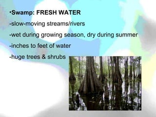 Swamp: FRESH WATER -slow-moving streams/rivers -wet during growing season, dry during summer -inches to feet of water -huge trees & shrubs 