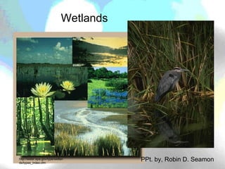 Wetlands PPt. by, Robin D. Seamon http://water.epa.gov/type/wetlands/types_index.cfm 