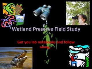Wetland Preserve Field Study Get you lab notebooks and follow along… 
