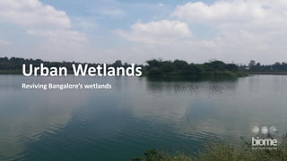 Urban Wetlands
Reviving Bangalore’s wetlands
 