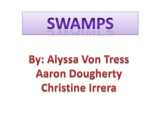Swamps By: Alyssa Von Tress Aaron Dougherty Christine Irrera 