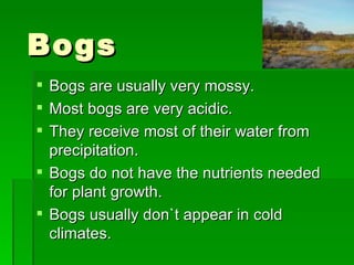 Bogs are usually very mossy. Most bogs are very acidic. They receive most of their water from precipitation. Bogs do not have the nutrients needed for plant growth. Bogs usually don`t appear in cold climates. Bogs 