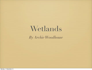 Wetlands
By Archie Woodhouse

Monday, 11 November 13

 