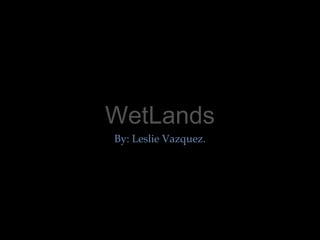 WetLands
By: Leslie Vazquez.
 