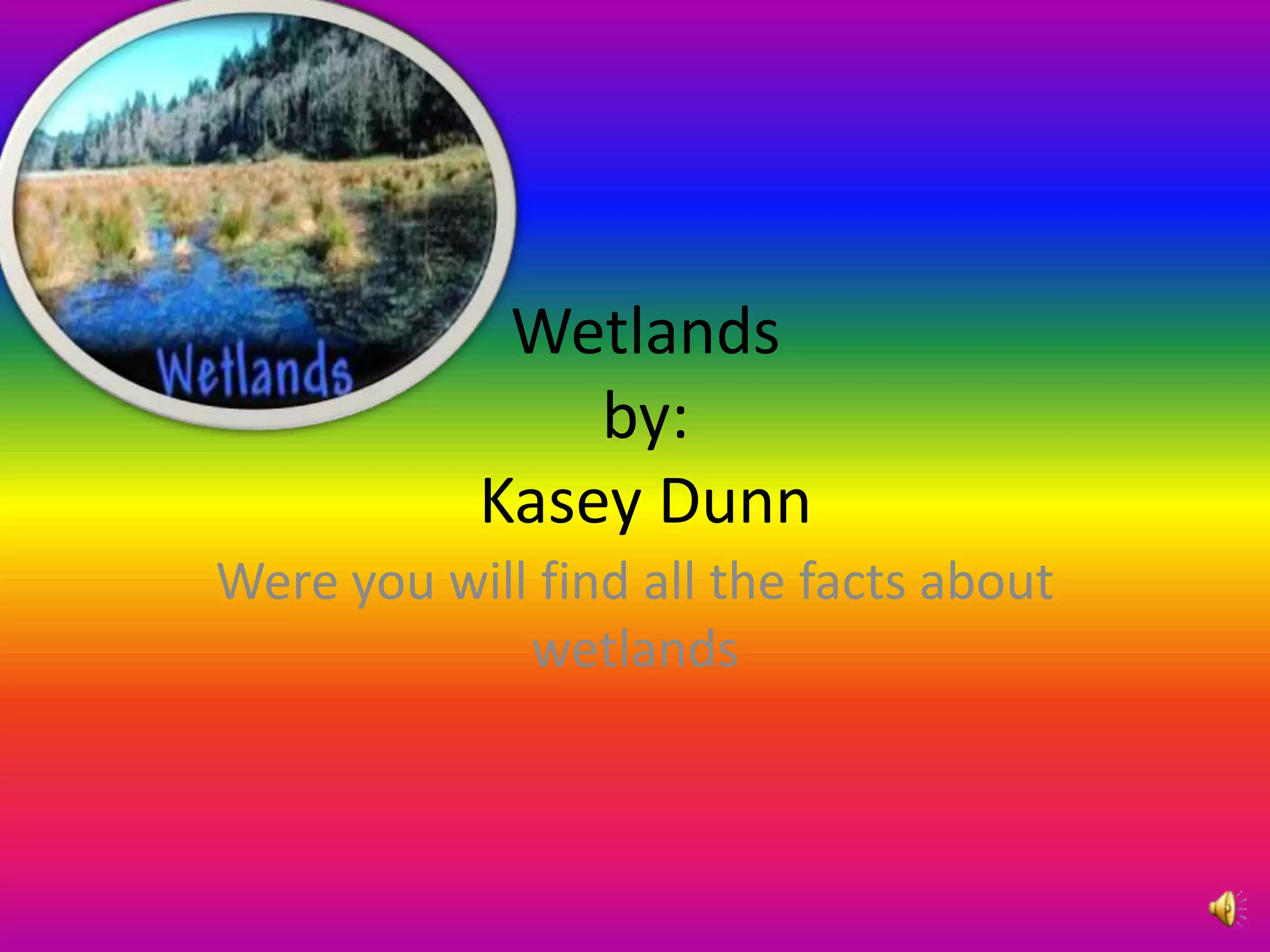 Wetlands
by:
Kasey Dunn
Were you will find all the facts about
wetlands