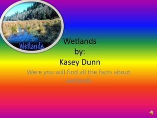 Wetlands
by:
Kasey Dunn
Were you will find all the facts about
wetlands
 