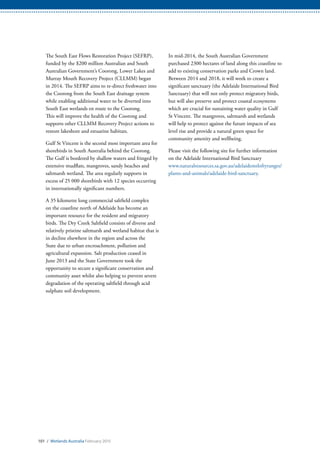 101 / Wetlands Australia February 2015
The South East Flows Restoration Project (SEFRP),
funded by the $200 million Australian and South
Australian Government’s Coorong, Lower Lakes and
Murray Mouth Recovery Project (CLLMM) began
in 2014. The SEFRP aims to re-direct freshwater into
the Coorong from the South East drainage system
while enabling additional water to be diverted into
South East wetlands en route to the Coorong.
This will improve the health of the Coorong and
supports other CLLMM Recovery Project actions to
restore lakeshore and estuarine habitats.
Gulf St Vincent is the second most important area for
shorebirds in South Australia behind the Coorong.
The Gulf is bordered by shallow waters and fringed by
extensive mudflats, mangroves, sandy beaches and
saltmarsh wetland. The area regularly supports in
excess of 25 000 shorebirds with 12 species occurring
in internationally significant numbers.
A 35 kilometre long commercial saltfield complex
on the coastline north of Adelaide has become an
important resource for the resident and migratory
birds. The Dry Creek Saltfield consists of diverse and
relatively pristine saltmarsh and wetland habitat that is
in decline elsewhere in the region and across the
State due to urban encroachment, pollution and
agricultural expansion. Salt production ceased in
June 2013 and the State Government took the
opportunity to secure a significant conservation and
community asset whilst also helping to prevent severe
degradation of the operating saltfield through acid
sulphate soil development.
In mid-2014, the South Australian Government
purchased 2300 hectares of land along this coastline to
add to existing conservation parks and Crown land.
Between 2014 and 2018, it will work to create a
significant sanctuary (the Adelaide International Bird
Sanctuary) that will not only protect migratory birds,
but will also preserve and protect coastal ecosystems
which are crucial for sustaining water quality in Gulf
St Vincent. The mangroves, saltmarsh and wetlands
will help to protect against the future impacts of sea
level rise and provide a natural green space for
community amenity and wellbeing.
Please visit the following site for further information
on the Adelaide International Bird Sanctuary
www.naturalresources.sa.gov.au/adelaidemtloftyranges/
plants-and-animals/adelaide-bird-sanctuary.
 