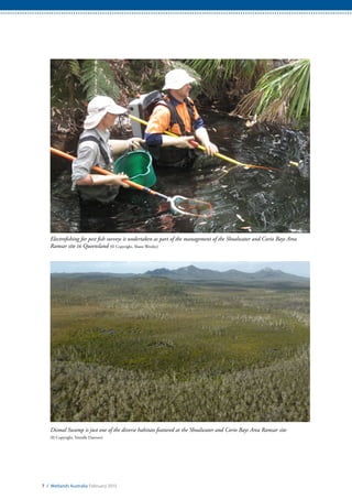 7 / Wetlands Australia February 2015
Electrofishing for pest fish surveys is undertaken as part of the management of the Shoalwater and Corio Bays Area
Ramsar site in Queensland (© Copyright, Shane Westley)
Dismal Swamp is just one of the diverse habitats featured at the Shoalwater and Corio Bays Area Ramsar site
(© Copyright, Tennille Danvers)
 