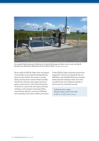 11 / Wetlands Australia February 2015
Recent studies by NQ Dry Tropics show vast expanses
of weed chokes can be cleared by limiting freshwater
inputs into the wetlands. This recreates a wetting-
drying cycle that mimics natural wetland seasonality
characteristic of the dry tropics region and restores
aquatic connectivity for a suite of native fish species.
To do this on a system wide scale requires innovative
techniques, such as frequent monitoring of flows,
automated gate telemetry, construction of fishways
and monitoring of native plant and fish communities.
To date NQ Dry Tropics and project partners have
revegetated 1.5 hectares of stream bank with over
2000 plants, and controlled 420 hectares of aquatic
weeds using these techniques which are far more
cost effective than more traditional methods of
weed control (e.g. mechanical removal).
To find out more, contact
NQ Dry Tropics on (07) 4724 3544
or visit www.nqdrytropics.com.au.
An example of modernising water infrastructure to improve fish passage and reduce excessive water entering the
Bowling Green Bay Ramsar Wetland and the Great Barrier Reef (© Copyright, Paul Duncanson)
 