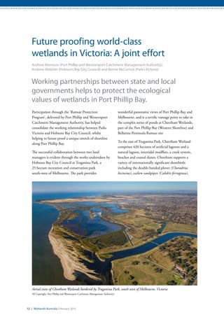 Aerial view of Cheetham Wetlands bordered by Truganina Park, south west of Melbourne, Victoria
(© Copyright, Port Phillip and Westernport Catchment Management Authority)
12 / Wetlands Australia February 2015
Future proofing world-class
wetlands in Victoria: A joint effort
Andrew Morrison (Port Phillip and Westernport Catchment Management Authority),
Andrew Webster (Hobsons Bay City Council) and Bernie McCarrick (Parks Victoria)
Working partnerships between state and local
governments helps to protect the ecological
values of wetlands in Port Phillip Bay.
Participation through the ‘Ramsar Protection
Program’, delivered by Port Phillip and Westernport
Catchment Management Authority, has helped
consolidate the working relationship between Parks
Victoria and Hobsons Bay City Council, whilst
helping to future proof a unique stretch of shoreline
along Port Phillip Bay.
The successful collaboration between two land
managers is evident through the works undertaken by
Hobsons Bay City Council at Truganina Park, a
25 hectare recreation and conservation park
south-west of Melbourne. The park provides
wonderful panoramic views of Port Phillip Bay and
Melbourne, and is a terrific vantage point to take in
the complex series of ponds at Cheetham Wetlands,
part of the Port Phillip Bay (Western Shoreline) and
Bellarine Peninsula Ramsar site
To the east of Truganina Park, Cheetham Wetland
comprises 420 hectares of artificial lagoons and a
natural lagoon, intertidal mudflats, a creek system,
beaches and coastal dunes. Cheetham supports a
variety of internationally significant shorebirds
including the double-banded plover (Charadrius
bicinctus), curlew sandpiper (Calidris ferruginea),
 