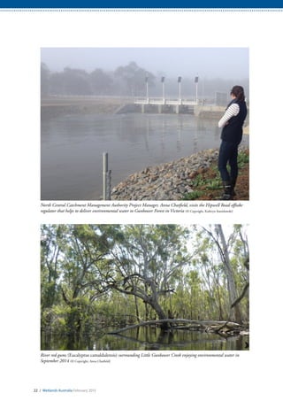 22 / Wetlands Australia February 2015
North Central Catchment Management Authority Project Manager, Anna Chatfield, visits the Hipwell Road offtake
regulator that helps to deliver environmental water to Gunbower Forest in Victoria (© Copyright, Kathryn Stanislawski)
River red gums (Eucalyptus camaldulensis) surrounding Little Gunbower Creek enjoying environmental water in
September 2014 (© Copyright, Anna Chatfield)
 