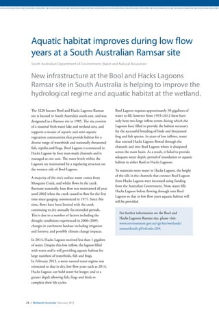 23 / Wetlands Australia February 2015
Aquatic habitat improves during low flow
years at a South Australian Ramsar site
South Australian Department of Environment, Water and Natural Resources
New infrastructure at the Bool and Hacks Lagoons
Ramsar site in South Australia is helping to improve the
hydrological regime and aquatic habitat at the wetland.
The 3220 hectare Bool and Hacks Lagoons Ramsar
site is located in South Australia’s south-east, and was
designated as a Ramsar site in 1985. The site consists
of a seasonal fresh water lake and wetland area, and
supports a mosaic of aquatic and semi-aquatic
vegetation communities that provide habitat for a
diverse range of waterbirds and nationally threatened
fish, reptiles and frogs. Bool Lagoon is connected to
Hacks Lagoon by four man-made channels and is
managed as one unit. The water levels within the
Lagoons are maintained by a regulating structure on
the western side of Bool Lagoon.
A majority of the site’s surface water comes from
Mosquito Creek, and whilst flows in the creek
fluctuate seasonally, base flow was maintained all year
until 2002 when the creek ceased to flow for the first
time since gauging commenced in 1971. Since this
time, flows have been limited with the creek
continuing to dry annually for extended periods.
This is due to a number of factors including the
drought conditions experienced in 2006–2009,
changes in catchment landuse including irrigation
and forestry, and possibly climate change impacts.
In 2014, Hacks Lagoon received less than 1 gigalitre
of water. Despite this low inflow, the lagoon filled
with water and is still providing aquatic habitat for
large numbers of waterbirds, fish and frogs.
In February 2013, a more natural water regime was
reinstated so that in dry, low flow years such as 2014,
Hacks Lagoon can hold water for longer, and at a
greater depth allowing fish, frogs and birds to
complete their life cycles.
Bool Lagoon requires approximately 30 gigalitres of
water to fill, however from 1993–2012 there have
only been two large inflow events during which the
Lagoons have filled to provide the habitat necessary
for the successful breeding of birds and threatened
frog and fish species. In years of low inflows, water
that entered Hacks Lagoon flowed through the
channels and into Bool Lagoon where it dissipated
across the main basin. As a result, it failed to provide
adequate water depth, period of inundation or aquatic
habitat in either Bool or Hacks Lagoons.
To maintain more water in Hacks Lagoon, the height
of the sills in the channels that connect Bool Lagoon
from Hacks Lagoon were increased using funding
from the Australian Government. Now, water fills
Hacks Lagoon before flowing through into Bool
Lagoon so that in low flow years aquatic habitat will
still be provided.
For further information on the Bool and
Hacks Lagoons Ramsar site, please visit:
www.environment.gov.au/cgi-bin/wetlands/
ramsardetails.pl?refcode=26#.
 