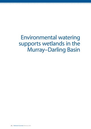 25 / Wetlands Australia February 2015
Environmental watering
supports wetlands in the
Murray–Darling Basin
 