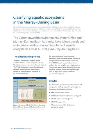 Classifying aquatic ecosystems
in the Murray–Darling Basin
Alana Wilkes (Commonwealth Environmental Water Officer (CEWO)), Benjamin Docker (CEWO), Rebecca
White (Murray–Darling Basin Authority (MDBA)), Ashraf L. Hanna (MDBA), Ian Neave (MDBA), Amy O’Brien
(CEWO), Neil Freeman (Australian Department of the Environment), Paul Marsh (Australian Department of
the Environment), Tristan Skinner (CEWO)
The Commonwealth Environmental Water Office and
Murray–Darling Basin Authority have jointly developed
an interim classification and typology of aquatic
ecosystems across Australia’s Murray–Darling Basin.
The classification project
The project was developed using the interim
Australian National Aquatic Ecosystems (ANAE)
Classification Framework structure shown in Figure 1.
The ANAE classification framework establishes a
nationally agreed, consistent and systematic
method for classifying aquatic ecosystems in
the Australian landscape.
The multi-jurisdictional project integrated
state-based classification work and was informed by
state governments and the scientific community.
Over 250 000 aquatic ecosystem features and
attribute data were compiled into a single database.
Features were assigned across almost 100 lacustrine,
palustrine, estuarine, riverine and floodplain types
based on physical and ecological attributes
(see example at Figure 2).
Results
The classification project resulted in the collection and
incorporation of a large range of ecosystem types into
the database, including approximately:
•	 8400 lacustrine (lake) features
•	 37 000 palustrine (wetland) features, see Figure 3
•	 157 000 riverine (stream) segments
•	 33 000 floodplain units
•	 37 estuarine units within the Coorong
and Murray Mouth.
Figure 1: Structure and levels of the Interim Australian
National Aquatic Ecosystems Classification Framework
(© Copyright, Australian Government Department of the Environment)
26 / Wetlands Australia February 2015
 