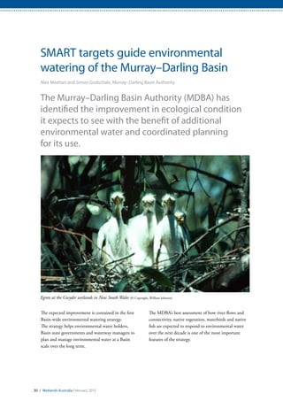 Egrets at the Gwydir wetlands in New South Wales (© Copyright, William Johnson)
30 / Wetlands Australia February 2015
SMART targets guide environmental
watering of the Murray–Darling Basin
Alex Meehan and Simon Godschalx, Murray–Darling Basin Authority
The Murray–Darling Basin Authority (MDBA) has
identified the improvement in ecological condition
it expects to see with the benefit of additional
environmental water and coordinated planning
for its use.
The expected improvement is contained in the first
Basin-wide environmental watering strategy.
The strategy helps environmental water holders,
Basin state governments and waterway managers to
plan and manage environmental water at a Basin
scale over the long term.
The MDBA’s best assessment of how river flows and
connectivity, native vegetation, waterbirds and native
fish are expected to respond to environmental water
over the next decade is one of the most important
features of the strategy.
 