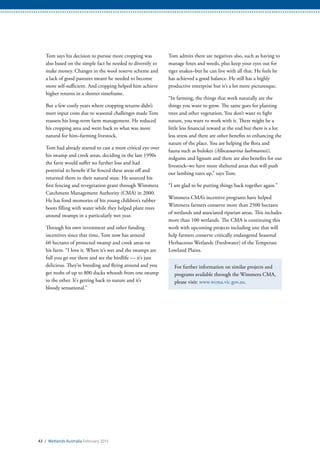 43 / Wetlands Australia February 2015
Tom says his decision to pursue more cropping was
also based on the simple fact he needed to diversify to
make money. Changes in the wool reserve scheme and
a lack of good pastures meant he needed to become
more self-sufficient. And cropping helped him achieve
higher returns in a shorter timeframe.
But a few costly years where cropping returns didn’t
meet input costs due to seasonal challenges made Tom
reassess his long-term farm management. He reduced
his cropping area and went back to what was more
natural for him–farming livestock.
Tom had already started to cast a more critical eye over
his swamp and creek areas, deciding in the late 1990s
the farm would suffer no further loss and had
potential to benefit if he fenced these areas off and
returned them to their natural state. He sourced his
first fencing and revegetation grant through Wimmera
Catchment Management Authority (CMA) in 2000.
He has fond memories of his young children’s rubber
boots filling with water while they helped plant trees
around swamps in a particularly wet year.
Through his own investment and other funding
incentives since that time, Tom now has around
60 hectares of protected swamp and creek areas on
his farm. “I love it. When it’s wet and the swamps are
full you go out there and see the birdlife — it’s just
delicious. They’re breeding and flying around and you
get mobs of up to 800 ducks whoosh from one swamp
to the other. It’s getting back to nature and it’s
bloody sensational.”
Tom admits there are negatives also, such as having to
manage foxes and weeds, plus keep your eyes out for
tiger snakes–but he can live with all that. He feels he
has achieved a good balance. He still has a highly
productive enterprise but it’s a lot more picturesque.
“In farming, the things that work naturally are the
things you want to grow. The same goes for planting
trees and other vegetation. You don’t want to fight
nature, you want to work with it. There might be a
little less financial reward at the end but there is a lot
less stress and there are other benefits to enhancing the
nature of the place. You are helping the flora and
fauna such as bulokes (Allocasuarina luehmannii),
redgums and lignum and there are also benefits for our
livestock–we have more sheltered areas that will push
our lambing rates up,” says Tom.
“I am glad to be putting things back together again.”
Wimmera CMA’s incentive programs have helped
Wimmera farmers conserve more than 2500 hectares
of wetlands and associated riparian areas. This includes
more than 100 wetlands. The CMA is continuing this
work with upcoming projects including one that will
help farmers conserve critically endangered Seasonal
Herbaceous Wetlands (Freshwater) of the Temperate
Lowland Plains.
For further information on similar projects and
programs available through the Wimmera CMA,
please visit: www.wcma.vic.gov.au.
 