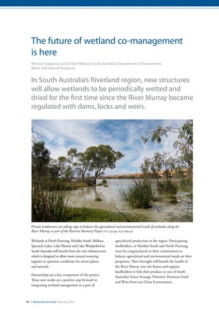 The future of wetland co-management
is here
Michael Colagrossi and Dr Karl Hillyard, South Australia’s Department of Environment,
Water and Natural Resources
In South Australia’s Riverland region, new structures
will allow wetlands to be periodically wetted and
dried for the first time since the River Murray became
regulated with dams, locks and weirs.
Wetlands at North Purnong, Murbko South, Beldora-
Spectacle Lakes, Lake Merreti and Lake Woolpolool in
South Australia will benefit from the new infrastructure
which is designed to allow more natural watering
regimes to optimise conditions for native plants
and animals.
Partnerships are a key component of the project.
These new works are a positive step forward in
integrating wetland management as a part of
agricultural production in the region. Participating
landholders, at Murbko South and North Purnong,
must be congratulated on their commitment to
balance agricultural and environmental needs on their
properties. Their foresight will benefit the health of
the River Murray into the future and support
landholders to link their produce to one of South
Australia’s Seven Strategic Priorities: Premium Food
and Wine from our Clean Environment.
Private landowners are taking steps to balance the agricultural and environmental needs of wetlands along the
River Murray as part of the Riverine Recovery Project (© Copyright, Karl Hillyard)
44 / Wetlands Australia February 2015
 