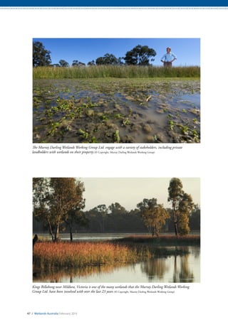 The Murray Darling Wetlands Working Group Ltd. engage with a variety of stakeholders, including private
landholders with wetlands on their property (© Copyright, Murray Darling Wetlands Working Group)
47 / Wetlands Australia February 2015
Kings Billabong near Mildura, Victoria is one of the many wetlands that the Murray Darling Wetlands Working
Group Ltd. have been involved with over the last 23 years (© Copyright, Murray Darling Wetlands Working Group)
 