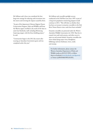 56 / Wetlands Australia February 2015
Mr Stillman said a fence was considered the best
long-term strategy for reducing cattle incursions into
the reserve and reversing the impacts caused by them.
“As part of the department’s Remote Regions Nature
Conservation Program, Parks and Wildlife staff from
the Warren region travelled to the north of the State to
assist East Kimberley staff, including Miriuwung
Gajerrong rangers, with the fence-building project,”
he said.
“Construction began in the 2012 dry season after
securing an Australian Government grant and was
completed earlier this year.”
Mr Stillman said crocodile spotlight surveys
conducted in the Ord River area since 1987 as part of
a long-term population monitoring program would
continue in 2014. “This will show us whether there
has been an increase in estuarine crocodiles in the Ord
River Nature Reserve since cattle have been excluded.”
Estuarine crocodiles are protected under the Western
Australian Wildlife Conservation Act 1950. They live in
coastal rivers and creek systems, and often occur in
open sea and around islands. Estuarine crocodiles also
move inland along major rivers, floodplains,
billabongs and into freshwater, rivers, creeks
and swamps.
For further information, please contact the
Western Australian Department of Parks and
Wildlife media on 08 9219 9999, or follow
them on facebook (www.facebook.com/dpawwa)
or Twitter (@WAPARKSWILDLIFE).
 