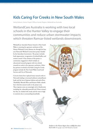 64 / Wetlands Australia February 2015
Kids Caring For Creeks in New South Wales
Verity Robson, Senior Project Officer Hunter Region, WetlandCare Australia
WetlandCare Australia is working with two local
schools in the Hunter Valley to engage their
communities and reduce urban stormwater impacts
which threaten Ramsar-listed wetlands downstream.
WetlandCare Australia’s Hunter branch in New South
Wales is restoring the upstream catchment of the
Hunter Wetlands Centre Ramsar site through the four
year Newcastle Wetland Connections project funded
by the Australian Government. The project includes
bush regeneration, revegetation of wetland buffers and
erosion control. A key element of the project is
community engagement which includes an
educational outreach program with two schools
situated on creeks in the upstream catchment. Other
key partners involved in the Kids Caring for Creeks
program include the New South Wales Local Land
Services and City of Newcastle.
Concrete drains have replaced many natural creeks in
Newcastle leading to increased sediment and pollutant
loads and the loss of riparian habitat and native flora.
Thankfully, Waratah West and Heaton Public schools
have relatively natural creeks in the project area.
These riparian zones are amazingly rich in biodiversity
including the vulnerable powerful owl (Ninox strenua),
but they are choked with weeds and the water is high
in nutrients due to surrounding households.
Students in the Hunter Region draw wildlife from their
local creeks (© Copyright, Louise Duff, WetlandCare Australia)
 
