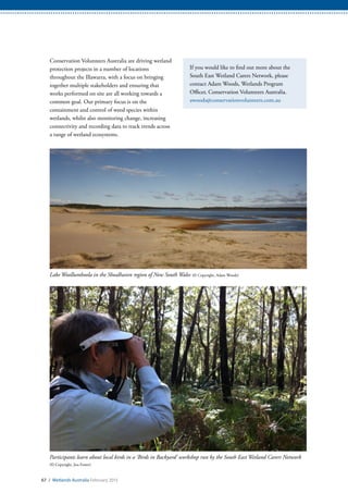 67 / Wetlands Australia February 2015
Conservation Volunteers Australia are driving wetland
protection projects in a number of locations
throughout the Illawarra, with a focus on bringing
together multiple stakeholders and ensuring that
works performed on site are all working towards a
common goal. Our primary focus is on the
containment and control of weed species within
wetlands, whilst also monitoring change, increasing
connectivity and recording data to track trends across
a range of wetland ecosystems.
If you would like to find out more about the
South East Wetland Carers Network, please
contact Adam Woods, Wetlands Program
Officer, Conservation Volunteers Australia.
awoods@conservationvolunteers.com.au
Lake Woollumboola in the Shoalhaven region of New South Wales (© Copyright, Adam Woods)
Participants learn about local birds in a ‘Birds in Backyard’ workshop run by the South East Wetland Carers Network
(© Copyright, Jess Foster)
 
