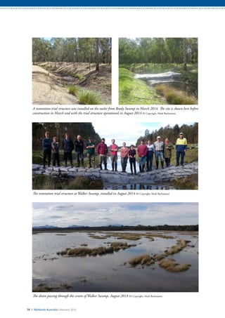 78 / Wetlands Australia February 2015
A restoration trial structure was installed on the outlet from Brady Swamp in March 2014. The site is shown here before
construction in March and with the trial structure operational in August 2014 (© Copyright, Mark Bachmann)
The restoration trial structure at Walker Swamp, installed in August 2014 (© Copyright, Mark Bachmann)
The drain passing through the centre of Walker Swamp, August 2014 (© Copyright, Mark Bachmann)
 
