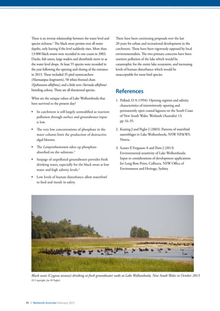 91 / Wetlands Australia February 2015
There is an inverse relationship between the water level and
species richness.2
The black swan persists over all water
depths, only leaving if the level suddenly rises. More than
13 000 black swans were recorded in one count in 2003.
Ducks, fish eaters, large waders and shorebirds move in as
the water level drops. At least 55 species were recorded in
the year following the opening and closing of the entrance
in 2013. These included 35 pied oystercatchers
(Haematopus longirostris), 58 white-fronted chats
(Epthianura albifrons), and a little tern (Sternula albifrons)
breeding colony. These are all threatened species.
What are the unique values of Lake Wollumboola that
have survived to the present day?
•	 Its catchment is still largely unmodified so nutrient
pollution through surface and groundwater input
is low.
•	 The very low concentrations of phosphate in the
water column limit the production of destructive
algal blooms.
•	 The Lamprothamnium takes up phosphate
absorbed on the substrate.3
•	 Seepage of unpolluted groundwater provides fresh
drinking water, especially for the black swan at low
water and high salinity levels.2
•	 Low levels of human disturbance allow waterfowl
to feed and moult in safety.
There have been continuing proposals over the last
20 years for urban and recreational development in the
catchment. These have been vigorously opposed by local
environmentalists. The two primary concerns have been
nutrient pollution of the lake which would be
catastrophic for the entire lake ecosystem, and increasing
levels of human disturbance which would be
unacceptable for most bird species.
References
1.	 Pollard, D A (1994): Opening regimes and salinity
characteristics of intermittently opening and
permanently open coastal lagoons on the South Coast
of New South Wales. Wetlands (Australia) 13.
pp 16–35.
2.	 Keating J and Pegler J (2003): Patterns of waterbird
assemblages in Lake Wollumboola. NSW NP&WS.
Nowra.
3.	 Scanes P, Ferguson A and Potts J (2013)
Environmental sensitivity of Lake Wollumboola:
Input to considerations of development applications
for Long Bow Point, Culburra. NSW Office of
Environment and Heritage, Sydney
Black swan (Cygnus atratus) drinking at fresh groundwater soaks at Lake Wollumboola, New South Wales in October 2013
(© Copyright, Joy M Pegler)
 