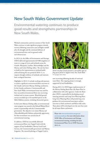 95 / Wetlands Australia February 2015
New South Wales Government Update
Environmental watering continues to produce
good results and strengthens partnerships in
New South Wales.
Wetland communities and river systems in New South
Wales continue to make significant progress towards
recovery following consecutive years of higher rainfall
after the drought and the continued delivery of
environmental water and on-ground works
and infrastructure.
In 2013–14, the Office of Environment and Heritage
(OEH) delivered approximately 625 000 megalitres of
water to a range of rivers and wetlands across the
Gwydir, Macquarie, Lachlan, Murrumbidgee and the
Murray and Lower Darling valleys. The aim has been
to build on the improvements to wetland health
achieved during the wet period of 2010–11, to
improve drought resilience of wetlands and maintain
basic ecological functions.
Highlights in 2013–14 include working with partners
to achieve significant environmental flow outcomes in
the Gwydir and Lower Murray–Darling catchments.
In the Gwydir catchment, Commonwealth and
New South Wales environmental water was used for
four successful environmental flows into recovering
wetland and in-stream systems. Waterbird ground
surveys recorded up to 44 waterbird species in the
Mehi-Mallowa systems, including threatened species.
In the Lower Murray–Darling valley, an environmental
water program was started in the Edward-Wakool River
system, in partnership with the Commonwealth
government. The objective is to restore Murray cod
(Maccullochella peelii) habitats and provide opportunity
for their recruitment over several years of
environmental watering.
In addition, OEH has successfully delivered
environmental flows into Tuppal Creek with the
support of local landholders, Murray Local Land
Services, the Commonwealth government and Murray
Irrigation. The natural hydrology of Tuppal Creek is
now recovering following decades of restricted
water flows. This ongoing project is strongly
supported by local landholders.
During 2013–14, OEH began implementation of
the Murray Darling Basin Plan (the Basin Plan) in
collaboration with other agencies. Under the Basin
plan, OEH is responsible for developing annual
watering priorities and Long Term Watering Plans.
Long Term Watering Plans will provide long term
guidance for environmental watering to achieve
outcomes at both catchment and Basin-wide scales.
These plans will be developed over the next four years
for all major Basin catchments.
Please visit www.environment.nsw.gov.au/
environmentalwater for more information about
NSW Office of Environment and Heritage
environmental watering, including the latest
Environmental Water Use in NSW Outcomes
2013–14.
Peron’s tree frog (Litoria peronii) is one of four types of
frog species found in Tuppal Creek, New South Wales
(© Copyright, Sashca Healy)
 