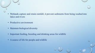 • Wetlands capture and retain rainfall, it prevent sediments from being washed into
lakes and rivers
• Productive environment
• Maintain biological diversity
• Important feeding, breeding and drinking areas for wildlife
• A source of life for people and wildlife
 