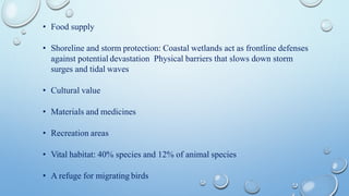 • Food supply
• Shoreline and storm protection: Coastal wetlands act as frontline defenses
against potential devastation Physical barriers that slows down storm
surges and tidal waves
• Cultural value
• Materials and medicines
• Recreation areas
• Vital habitat: 40% species and 12% of animal species
• A refuge for migrating birds
 