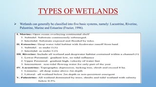TYPES OF WETLANDS
➢ Wetlands can generally be classified into five basic systems, namely: Lacustrine, Riverine,
Palustrine, Marine and Estuarine (Frazier, 1996).
 