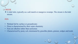 CREEK
❖ A tidal inlet, typically as a salt marsh or mangrove swamps. The stream is thetidal
stream.
FEN
• Wetland fed by surface or groundwater.
• Flora is characterised by their water chemistry
• Fens are alkaline rather than acid areas
• Characterized by peaty soil, dominated by grasslike plants, grasses, sedges and reeds
 