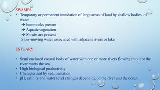 SWAMPS
• Temporary or permanent inundation of large areas of land by shallow bodies of
water
→ hummocks present
→ Aquaticvegetation
→ Shrubs are present
Slow-moving water associated with adjacent rivers or lake
ESTUARY
• Semi enclosed coastal body of water with one or more rivers flowing into it or the
river meets the sea
• High biological productivity
• Characterized by sedimentation
• pH, salinity and water level changes depending on the river and the ocean
 