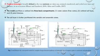 ❖ Nutrient dynamics is broadly defined as the way nutrients are taken up, retained, transferred, and cycled over time and
distance, in an ecosystem (Hauer and Lamberti, 2006; Allan and Castillo, 2007)
❖ The model partitions a wetland into three basic compartments: (1) water column (free water), (2) wetland soil layer,
and (3) plant biomass.
❖ The soil layer is further partitioned into aerobic and anaerobic zones.
Figs. 1 and 2 depict the conceptual model for complete biogeochemical pathways of mineralization of organic matter to ammonia and phosphate
 