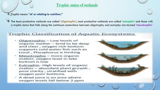 ❖ Trophic means “of or relating to nutrition.”
❖ The least productive wetlands are called ‘oligotrophic’, most productive wetlands are called ‘eutrophic’ and those with
a trophic status that falls along the continuum somewhere between oligotrophy and eutrophy are termed ‘mesotrophic’
Trophic status of wetlands
 