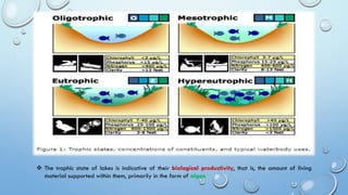 ❖ The trophic state of lakes is indicative of their biological productivity, that is, the amount of living
material supported within them, primarily in the form of algae
 