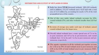 Distribution and extent of wetlands in India
❖ India has about 757.06 thousand wetlands {201,503 wetlands
and in addition, 555,557 wetlands (area <2.25 ha)} with a total
area of 15.3 million ha, accounting for nearly 4.7% of the total
geographical area of the country.
❖ Out of this, area under inland wetlands accounts for 69%,
coastal wetlands 27%, and other wetlands (smaller than 2.25 ha)
4%.
❖ In terms of average area under each type of wetland, natural
coastal wetlands have the largest area.
❖ Overall, inland wetlands have a water spread area of 7.4 m ha
in post monsoon and 4.8 m ha in pre-monsoon, and coastal
wetlands have 1.2 m ha and 1 m ha in post monsoon and pre
monsoon, respectively.
❖ The aquatic vegetation in all the wetlands put together account
for 1.32 m ha (9% of total wetland area) in post monsoon and
2.06 m ha (14% of total wetland area) in pre monsoon (SAC,
2011).
 