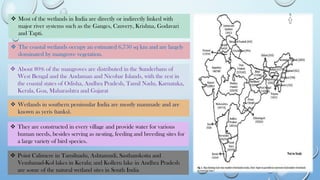 ❖ Point Calimere in Tamilnadu, Ashtamudi, Sasthamkotta and
Vembanad-Kol lakes in Kerala; and Kolleru lake in Andhra Pradesh
are some of the natural wetland sites in South India
❖ Most of the wetlands in India are directly or indirectly linked with
major river systems such as the Ganges, Cauvery, Krishna, Godavari
and Tapti.
❖ The coastal wetlands occupy an estimated 6,750 sq km and are largely
dominated by mangrove vegetation.
❖ About 80% of the mangroves are distributed in the Sunderbans of
West Bengal and the Andaman and Nicobar Islands, with the rest in
the coastal states of Odisha, Andhra Pradesh, Tamil Nadu, Karnataka,
Kerala, Goa, Maharashtra and Gujarat
❖ Wetlands in southern peninsular India are mostly manmade and are
known as yeris (tanks).
❖ They are constructed in every village and provide water for various
human needs, besides serving as nesting, feeding and breeding sites for
a large variety of bird species.
 