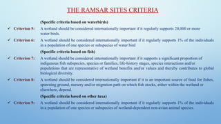 (Specific criteria based on waterbirds)
✓ Criterion 5: A wetland should be considered internationally important if it regularly supports 20,000 or more
water birds.
✓ Criterion 6: A wetland should be considered internationally important if it regularly supports 1% of the individuals
in a population of one species or subspecies of water bird
(Specific criteria based on fish)
✓ Criterion 7: A wetland should be considered internationally important if it supports a significant proportion of
indigenous fish subspecies, species or families, life-history stages, species interactions and/or
populations that are representative of wetland benefits and/or values and thereby contributes to global
biological diversity.
✓ Criterion 8: A wetland should be considered internationally important if it is an important source of food for fishes,
spawning ground, nursery and/or migration path on which fish stocks, either within the wetland or
elsewhere, depend.
(Specific criteria based on other taxa)
✓ Criterion 9: A wetland should be considered internationally important if it regularly supports 1% of the individuals
in a population of one species or subspecies of wetland-dependent non-avian animal species.
THE RAMSAR SITES CRITERIA
 