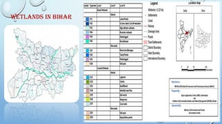Wetlands in Bihar
 