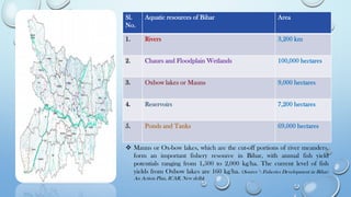 Sl.
No.
Aquatic resources of Bihar Area
1. Rivers 3,200 km
2. Chaurs and Floodplain Wetlands 100,000 hectares
3. Oxbow lakes or Mauns 9,000 hectares
4. Reservoirs 7,200 hectares
5. Ponds and Tanks 69,000 hectares
❖ Mauns or Ox-bow lakes, which are the cut-off portions of river meanders,
form an important fishery resource in Bihar, with annual fish yield
potentials ranging from 1,500 to 2,000 kg/ha. The current level of fish
yields from Oxbow lakes are 160 kg/ha. (Source*: Fisheries Development in Bihar:
An Action Plan, ICAR, New delhi)
 