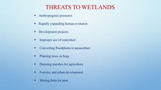 THREATS TO WETLANDS
▪ Anthropogenic pressures
▪ Rapidly expanding human evolution
▪ Development projects
▪ Improper use of watershed
▪ Converting floodplains to aquaculture
▪ Planting trees on bogs
▪ Draining marshes for agriculture
▪ Forestry and urban development
▪ Mining them for peat
 