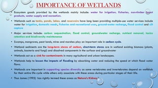 IMPORTANCE OF WETLANDS
• Ecosystem goods provided by the wetlands mainly include: water for irrigation, fisheries, non-timber forest
products, water supply and recreation.
• Wetlands such as tanks, ponds, lakes, and reservoirs have long been providing multiple-use water services include
water for irrigation, domestic needs, fisheries and recreational uses, ground-water recharge, flood control and silt
capture
• Major services include: carbon sequestration, flood control, groundwater recharge, nutrient removal, toxics
retention and biodiversity maintenance
• Swamps, mangroves, peat lands, mires and marshes play an important role in carbon cycle.
• Wetland sediments are the long-term stores of carbon, short-term stores are in wetland existing biomass (plants,
animals, bacteria and fungi) and dissolved components in the surface and groundwater
• Wetlands act as a sink for contaminants in many agricultural and urban landscapes.
• Wetlands help to lessen the impacts of flooding by absorbing water and reducing the speed at which flood water
flows.
• Wetlands are important in supporting species diversity as some vertebrates and invertebrates depend on wetlands
for their entire life cycle while others only associate with these areas during particular stages of their life.
• Thus James (1995) has rightly termed these areas as Nature’s Kidney.”
 